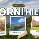 morni hills