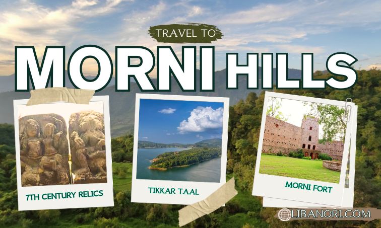 morni hills